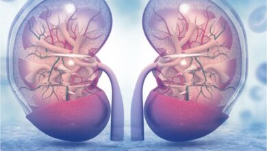 علت اختلال عملکرد کلیه چیست؟