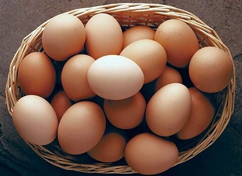 آیا برای خوردن تخم مرغ خام برای کم خونی مفید است؟