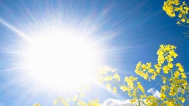 وزارت بهداشت: مراقبت از نور خورشید - آژانس خبری مهر | اخبار ایرانی و جهانی