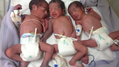 تولد سه گانه در بیمارستان Hazrat Valiasr - آژانس خبری مهر | اخبار ایرانی و جهانی