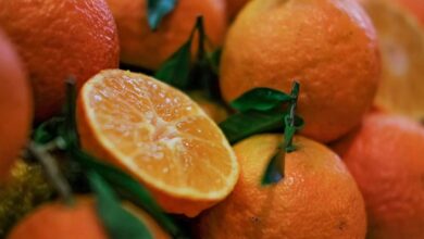 خواص شگفت انگیز نارنجی برای سلامتی