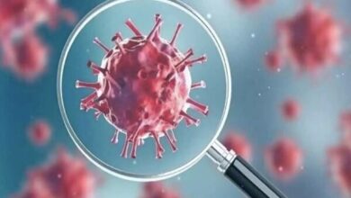 کمین Corona در سال نو - آژانس خبری مهر | اخبار ایرانی و جهانی