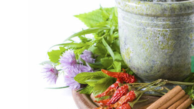 برگزاری جشنواره غذایی "ایران جوان با داروی ایران" در وزارت بهداشت - آژانس خبری مهر | اخبار ایرانی و جهانی