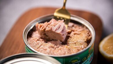 "فلزات سنگین" در مورد ماهی های ممنوعه - آژانس خبری مهر | اخبار ایرانی و جهانی