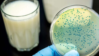 تب مالت همچنان قربانی می شود. بیش از 6000 تحت تأثیر در سال