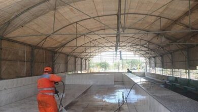 تهیه عرضه دام در سلامت در تهران - آژانس خبری مهر | اخبار ایرانی و جهانی