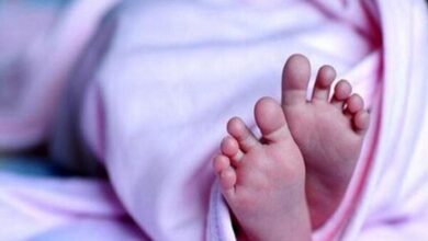 چرا غربالگری کم کاری تیروئید تیروئید شیرخوار - آژانس خبری MEHR | اخبار ایرانی و جهانی