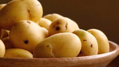 این گیاه سرشار از ویتامین C و B و کلسترول است.