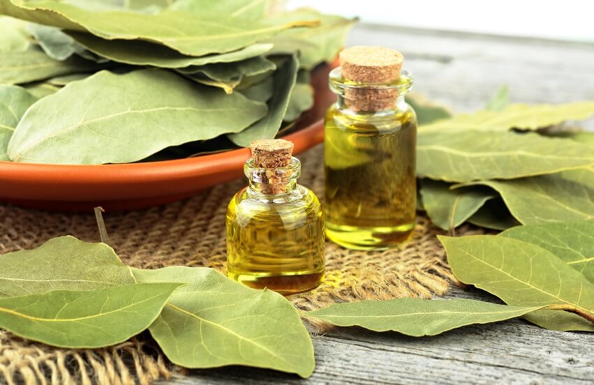 فواید و خواص سوزاندن برگ بوی در خانه و نحوه انجام آن