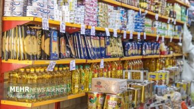 برچسب زدن دیجیتال راه حل جدید برای شفافیت اطلاعات غذایی - آژانس خبری MEHR | اخبار ایرانی و جهانی