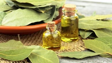 خاصیت شفابخشی و شگفت انگیز برگ گیاه برای سلامتی