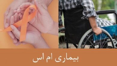 شناسایی بیش از 6000 نفر با MS در فارس - آژانس خبری مهر | اخبار ایرانی و جهانی