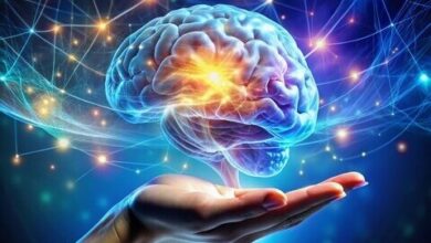 معجزه طب سنتی برای تقویت حافظه و بهبود عملکرد مغز