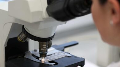 انقلابی در درمان سرطان پروستات با کمک هوش مصنوعی