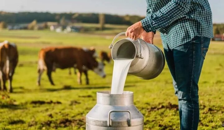 لبنیات سنتی یا پاستوریزه می خورید؟