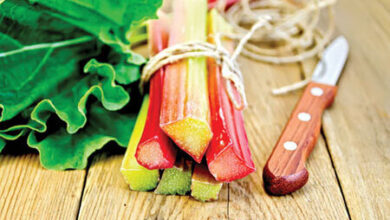 این غذای ترش باعث نجات قلب و کبد شما می شود