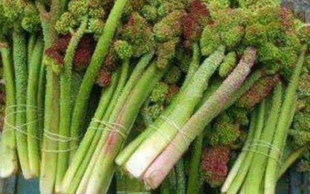 این غذای ترش باعث نجات قلب و کبد شما می شود