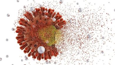 افزایش گردش ویروس کرونا در کشور/در اماکن عمومی ماسک بزنید