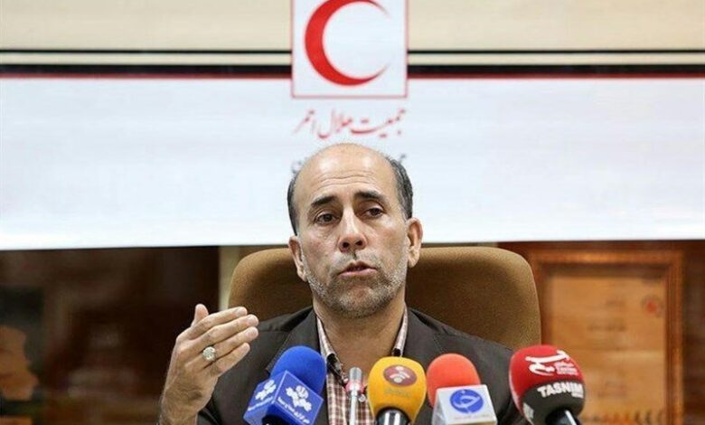 تشریح وضعیت سلامت و میانگین سنی زائران حج 1404