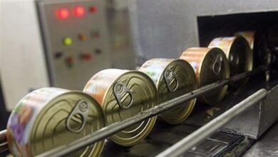 خطر فلزات سنگین در کنسرو ماهی‌های حرام‌گوشت