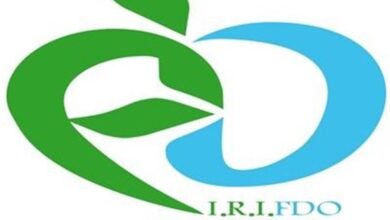 سازمان غذا و دارو افزایش قیمت داروی "راپامیون" را تکذیب کرد