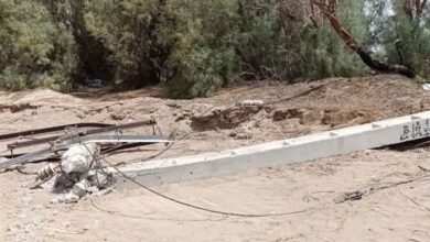 طوفان شب گذشته در استان تهران 7 نفر مصدوم برجای گذاشت