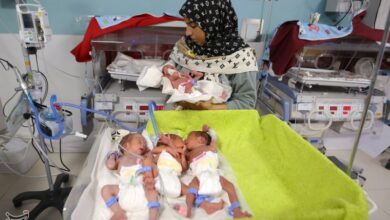 فرصت طلایی ایران برای جوان شدن جمعیت تا سال 1425