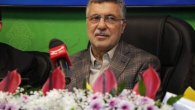 وزیر بهداشت: نرخ رشد جمعیت کشور به زیر یک رسیده است