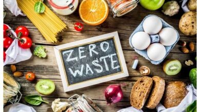 کتابچه راهنمای کاهش مواد غذایی در خانوارها - آژانس خبری مهر | اخبار ایرانی و جهانی