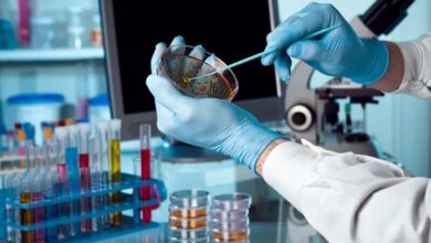 تسهیل موانع پیشرفت محققان موسسه تحقیقات ژنتیک - آژانس خبری مهر | اخبار ایرانی و جهانی