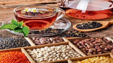 چای بعد از وعده های غذایی ؛ مانعی برای هضم ، نه کمک به آن - آژانس خبری مهر | اخبار ایرانی و جهانی