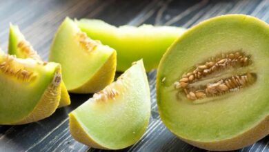 آیا مصرف خربزه برای سلامتی مضر است؟