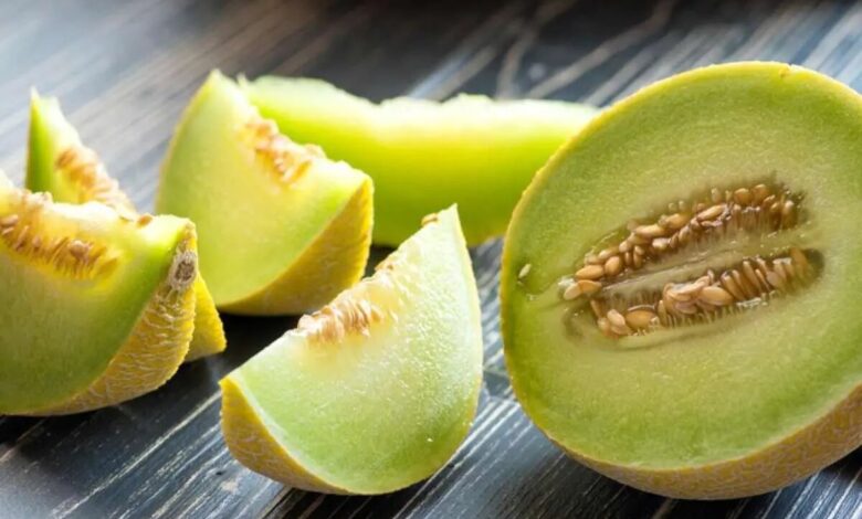آیا مصرف خربزه برای سلامتی مضر است؟
