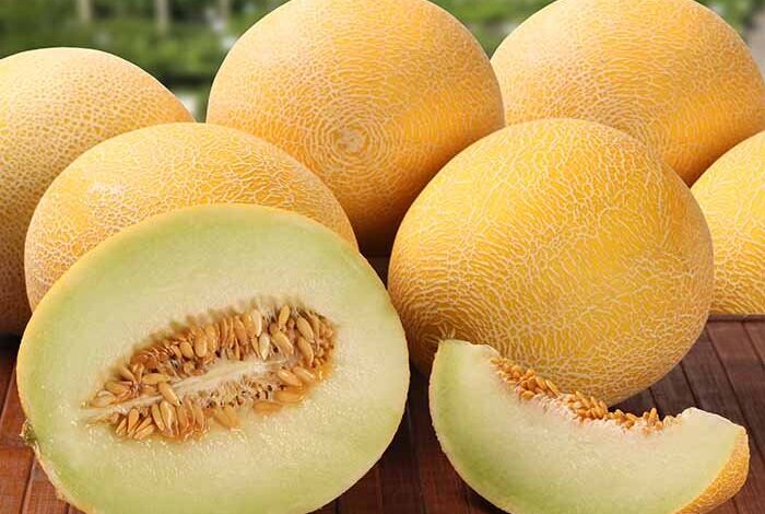 تراریخته و مضر برای سلامتی؟