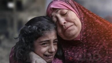 تختخواب بیمارستان در اینجا تابوت است