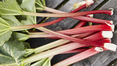 این غذای ترش باعث نجات قلب و کبد شما می شود