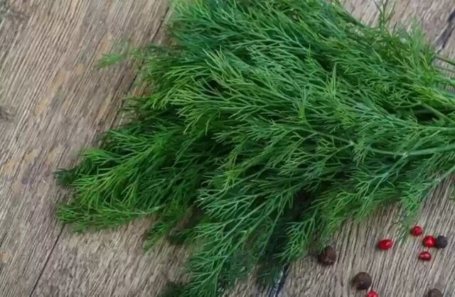 درمان طبیعی نفخ ، بی خوابی و کلسترول