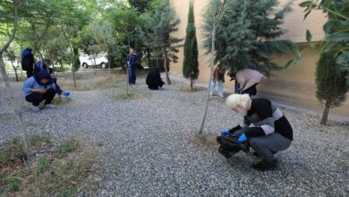 محیط بیمارستان Mahak Mahak پاک شد