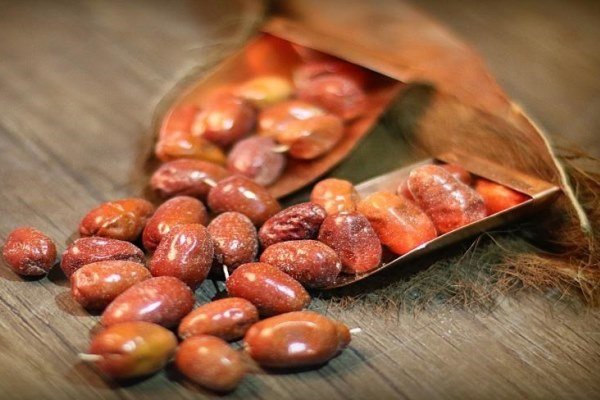 خطر اعتیاد به ریتالین را در بین دانشجویان شب امتحان/دارچین بخورید!