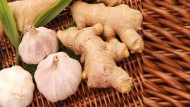 از تقویت مو تا کاهش التهاب. یک گیاه همه کاره برای زندگی سالم