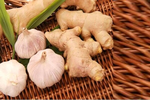 از تقویت مو تا کاهش التهاب. یک گیاه همه کاره برای زندگی سالم