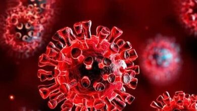 داوران سه بخش از رویداد Corona - آژانس خبری Mehr | اخبار ایرانی و جهانی