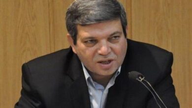 حسینی: توسعه اجتماعی بدون مشارکت افراد دارای معلولیت ، ناقص - آژانس خبری مهر | اخبار ایرانی و جهانی