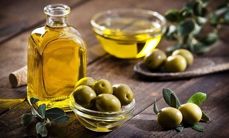 خصوصیات درمانی زیتون را تشخیص دهید. پیشگیری از سرطان و سکته مغزی - آژانس خبری مهر | اخبار ایرانی و جهانی