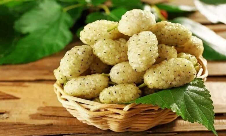 ویژگی های توت سفید + جدول تغذیه و روش های مصرف - کتاب Calais