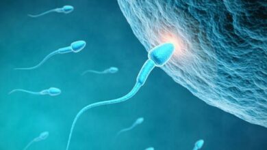 نگاه کنید به | یک نکته کمتر قابل توجه در مورد ناباروری که مربوط به مردان است