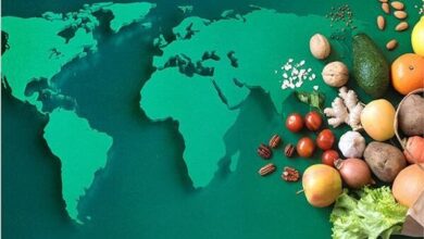 خود بیان و خودکشی ؛ رویکرد مدرن برای تضمین ایمنی مواد غذایی - آژانس خبری مهر | اخبار ایرانی و جهانی