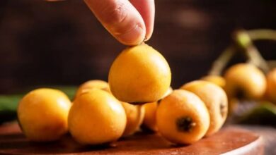 میوه ای برای تقویت مصونیت بدن و سلامت دستگاه گوارش