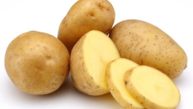آیا سیب زمینی چربی می کند؟