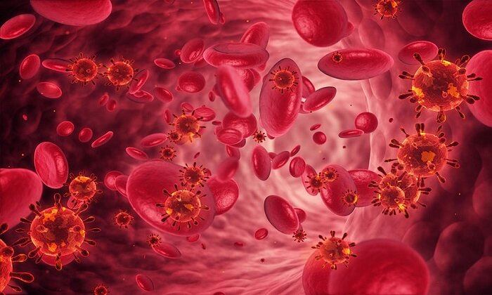 چه چیزی بخورید و برای غلظت خون بخورید؟ + توصیه های طب سنتی برای غلظت خون